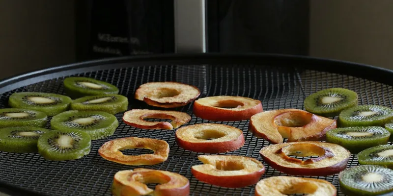 Dried apple rings and kiwi slices on a mesh dehydrator tray with an air fryer behind