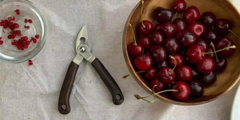 Cherry pitting tool beside a bowl of dark cherries