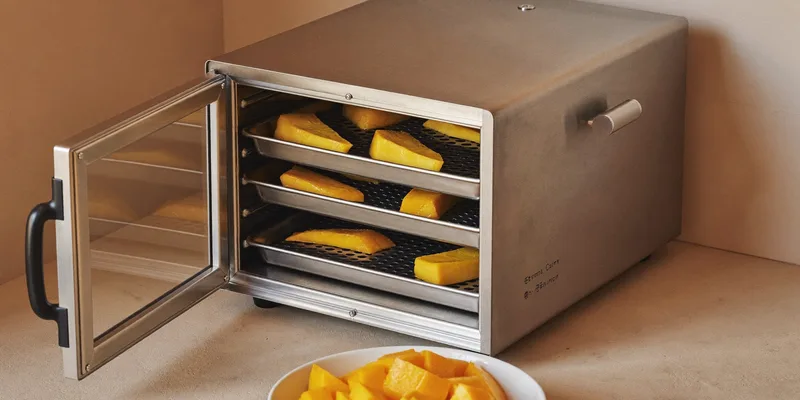 Stainless dehydrator with door ajar showing mango slices