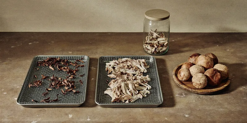 Sliced mushrooms on mesh trays with a jar of dried pieces