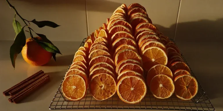 Rows of translucent dried orange slices on a rack