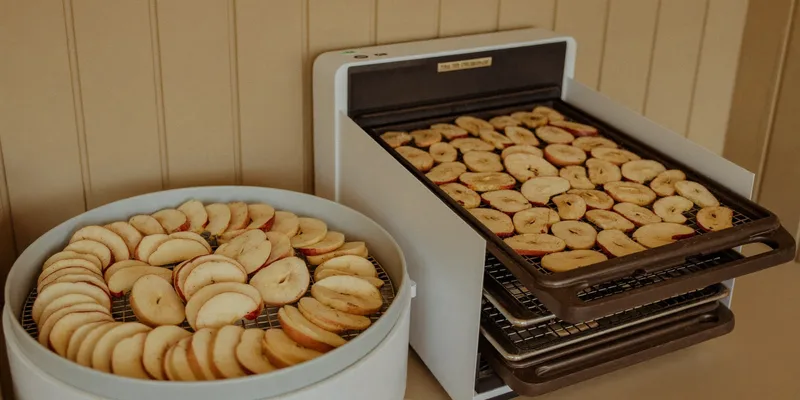 Round stacked dehydrator beside a box dehydrator with trays