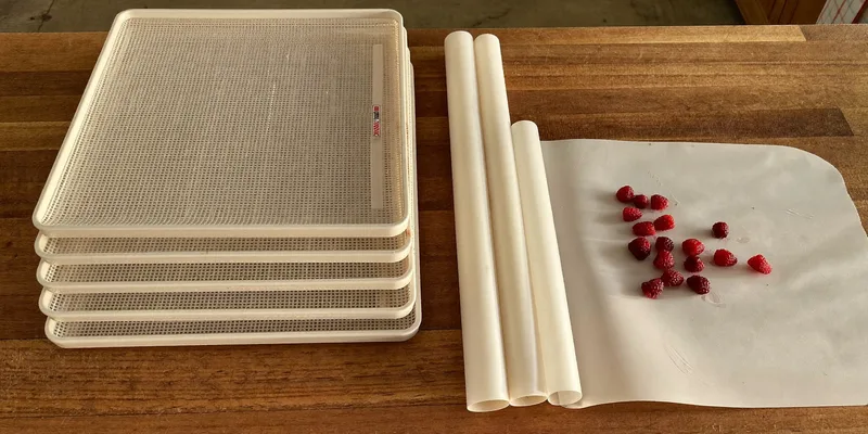 Stack of mesh dehydrator trays with silicone sheets and raspberries
