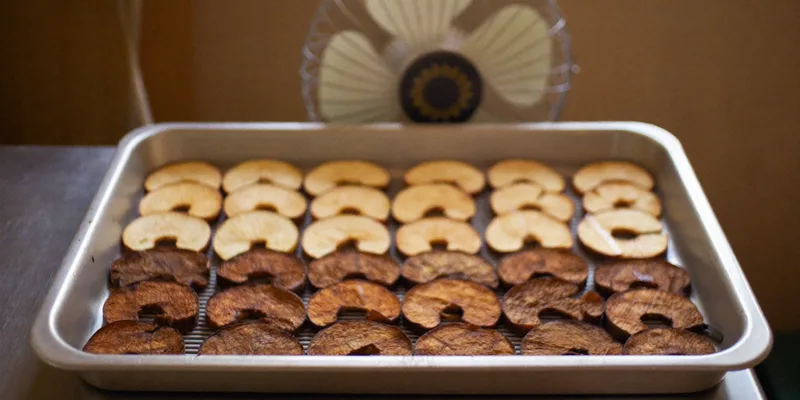 Tray of unevenly dried apple slices with a fan behind