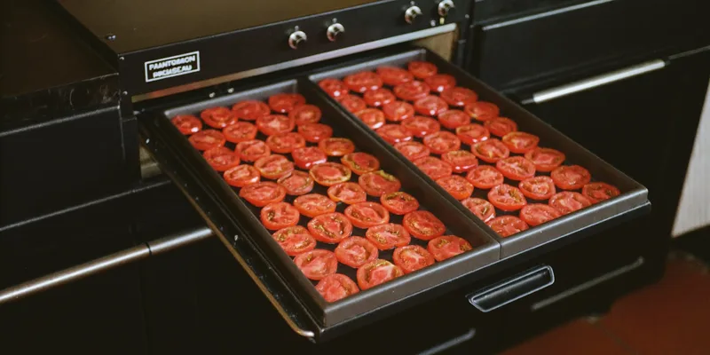 Black box dehydrator with wide trays of tomato slices
