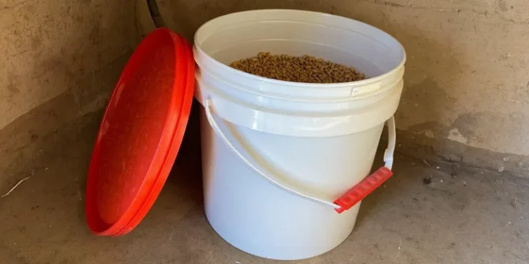White bucket with red screw lid leaning open showing grain