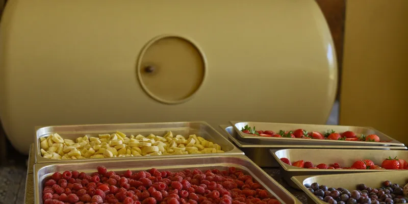 Trays of freeze dried berries before a rounded freeze dryer