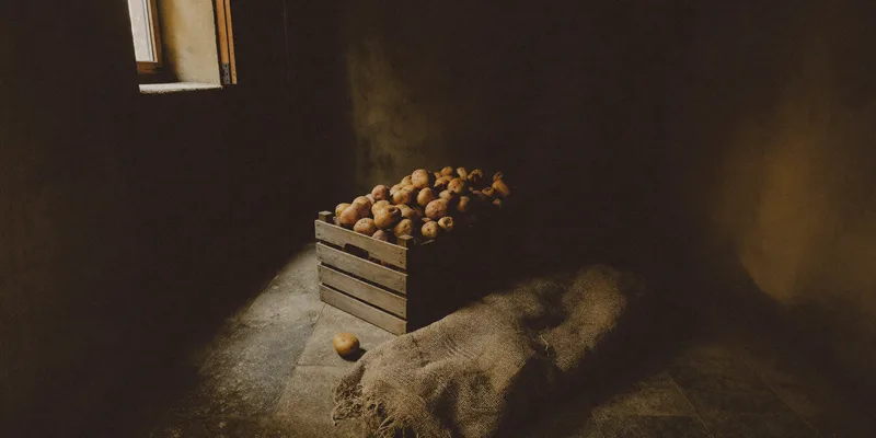 Crate of potatoes with a burlap sack in a dark cellar