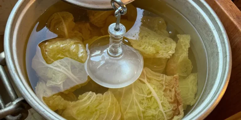 Open fermentation jar with cabbage under brine and a thin white film