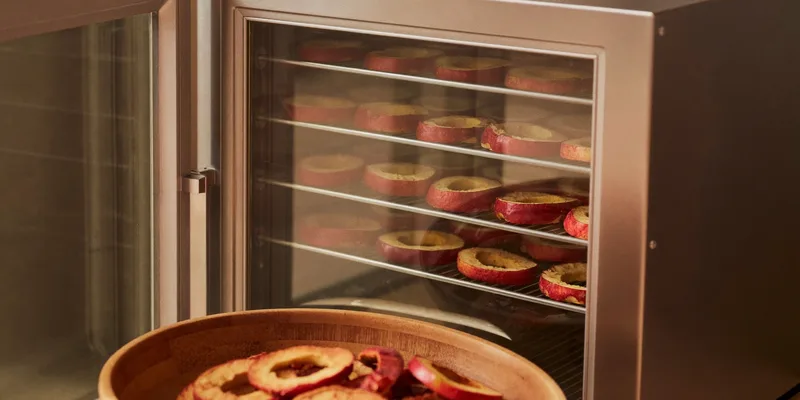 Stainless cabinet dehydrator with apple rings behind glass